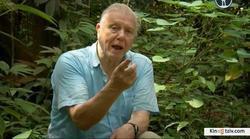 Attenborough: 60 Years in the Wild 2012 photo.