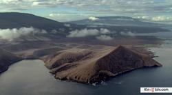 Galápagos 2006 photo.