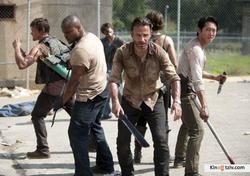The Walking Dead 2010 photo.