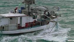 Sea Patrol 2007 photo.