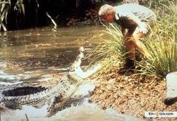 Crocodile Hunter 1996 photo.
