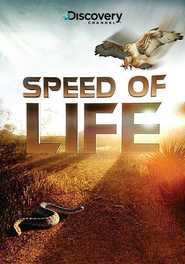Another movie Speed of Life of the director Philip Lott.