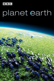 Another movie Planet Earth of the director Alastair Fothergill.