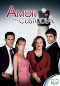 Another movie Amor en custodia of the director Juan Carlos Vasquez.