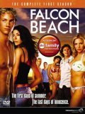 Another movie Falcon Beach of the director Endryu Potter.