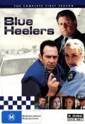 Another movie Blue Heelers  (serial 1994-2006) of the director Deklan Imis.