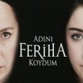 Another movie Adini feriha koydum  (serial 2011 - ...) of the director Merve Girgin.