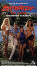 Another movie Baywatch: Forbidden Paradise of the director Douglas Schwartz.