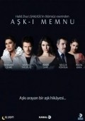 Another movie Ask-i memnu of the director Hilal Saral.
