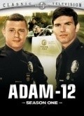 Another movie Adam-12  (serial 1968-1975) of the director Dennis Donnelly.