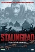 Another movie Stalingrad (mini-serial) of the director Sebastyan Denhardt.