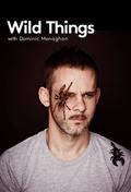 Another movie Wild Things with Dominic Monaghan of the director Paul Kilback.