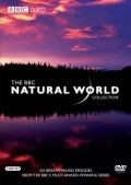 Another movie The Natural World of the director Alan McGregor.