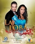 Another movie La Loba of the director Jose Acosta.