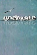 Another movie Goenkale  (serial 1994 - ...) of the director Alex Ezkurdia.