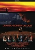 Another movie Cuando rompen las olas of the director Riccardo Gabrielli R..